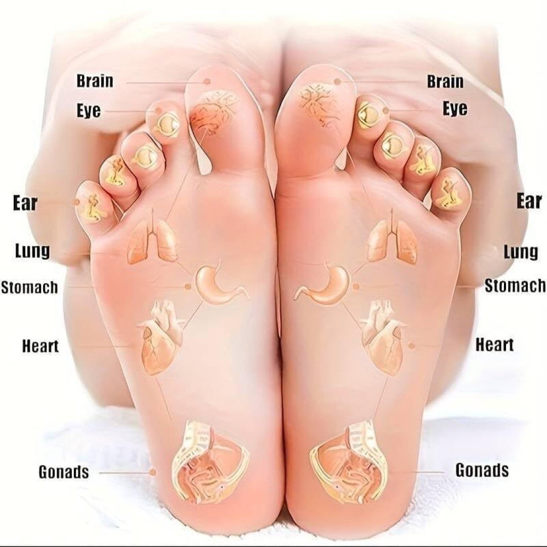 Acupressure Reflexology Foot Massage Socks With Tool - Image 3