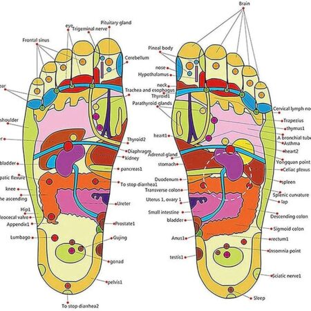 Spring Action Acupressure Massage Slippers