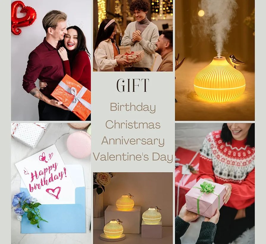 Onion Bird Humidifier - Image 2