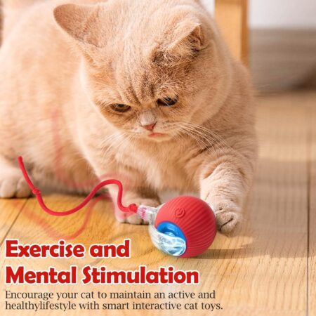 Interactive Smart Cat and Dog Rolling Ball Toy