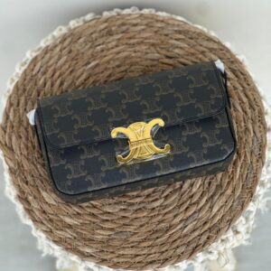 Celine Triomphe Handbag